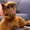 Фотография Alf