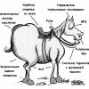 Двойная Кнопка Туманок - последнее сообщение от vars